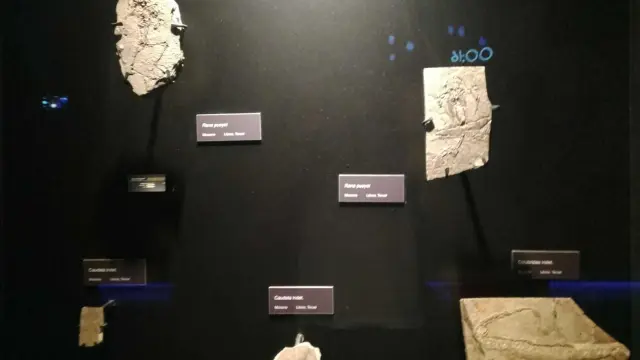 En la esquina izquierda inferior, el fósil sustraído de Dinópolis