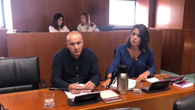 José María Abad, director general de Asistencia Sanitaria, e Itxaso Cabrera, parlamentaria de Podemos, este viernes en las Cortes de Aragón.