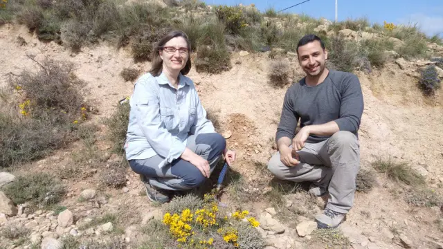 Daniel DeMiguel y Beatriz Azanza, investigadores de la Universidad de Zaragoza y autores del trabajo muestreando en campo.
