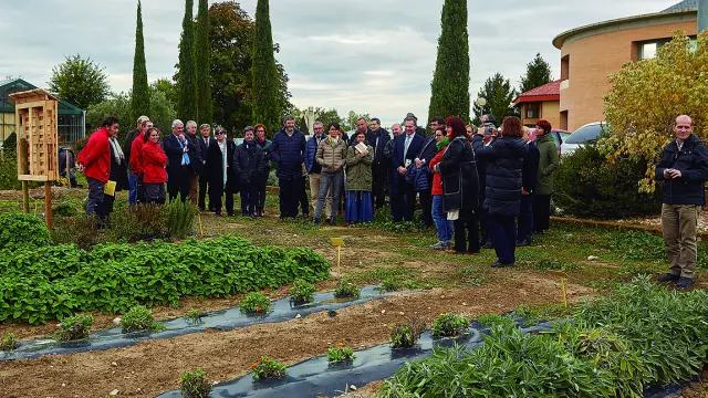 Los socios del proyecto visitaron ayer la plantación experimental de plantas aromáticas en Brotalia.