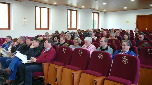 Los alcaldes asistentes a la asamblea celebrada en Boltaña este sábado