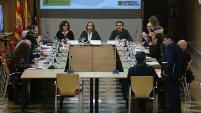 La Comisión Interautonómica de Drogas se ha realizado este jueves por primera vez en Aragón