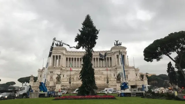 Algunas ramas del árbol de Navidad de Roma tuvieron que ser cortadas para facilitar su transporte.