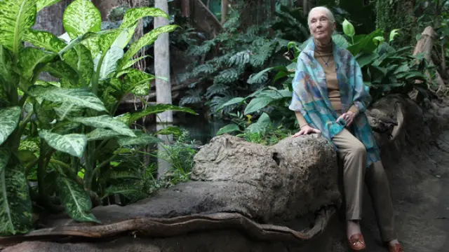 Jane Goodall en Barcelona