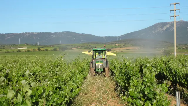 Los ensayos se llevaron a cabo en varias fincas del Grupo BSV-Bodegas San Valero, donde se cultiva syrah y garnacha.
