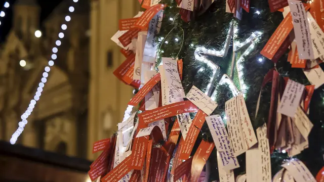 El árbol de los deseos de la plaza del Pilar ha portado hasta 15.000 tarjetones con anhelos.