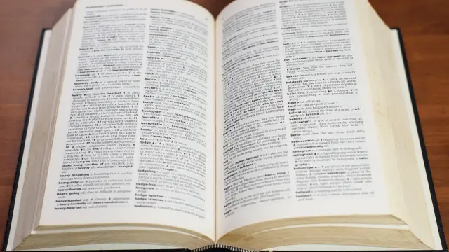 El diccionario de la Real Academia Española (RAE) alberga más de 88.000 entradas.