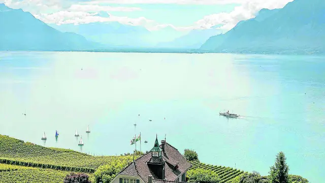 Viñedos en terraza típicos a orillas del lago Lemán, en el cantón suízo de Vaud.