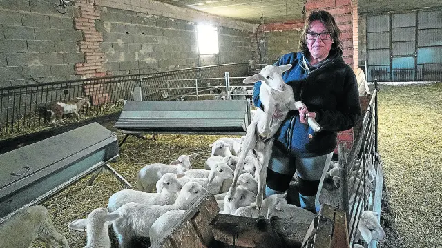 Rosa Serra, con los corderos de la explotación de ovino que ha puesto en marcha en Royuela.