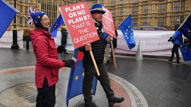 Activistas en contra del 'brexit' se concentran ante el Parlamento británico en Londres.