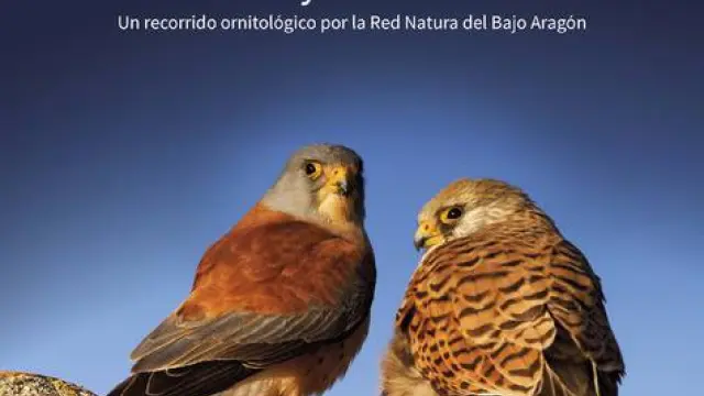 La guía de aves del Bajo Aragón ofrece 7 rutas de observación.
