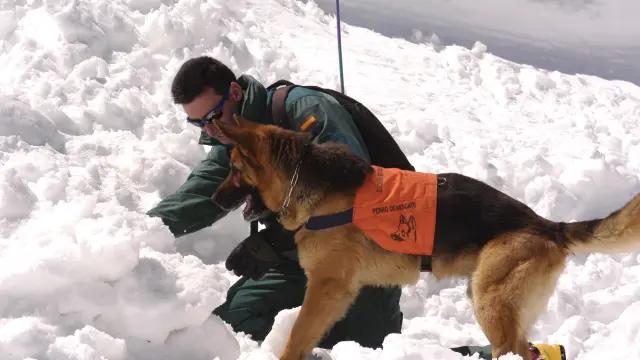 El cabo Sergio Orna, haciendo un ejercicio con su perro de rescates Arnold