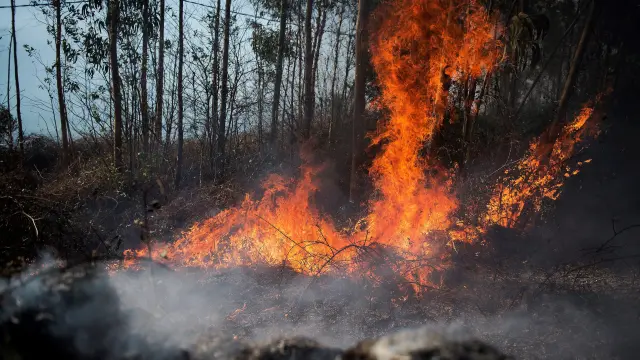 Llamas de un incendio en la localidad cántabra de Ramales de la Victoria.
