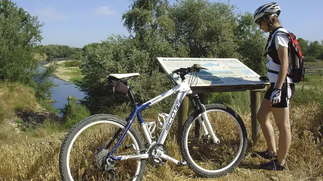 La bicicleta de montaña es un buen medio para conocer los sotos y galachos del Ebro.