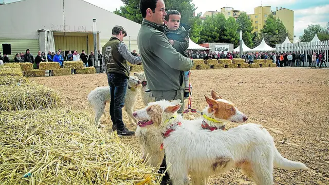 Expositores de perros en la Feria de Caza, Pesca y Turismo de Calatayud.