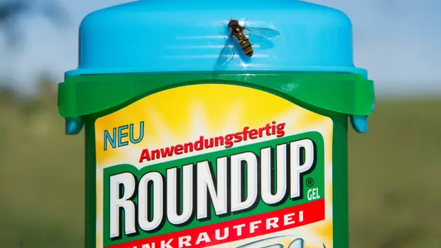 El herbicida Roundup contiene glifosato