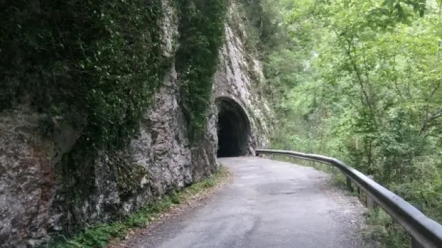 La carretera del cañón de Añisclo.