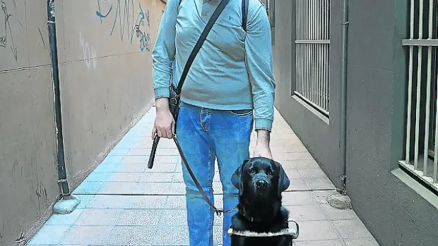 Usier, un perro labrador de apenas dos años, es la luz que ilumina el caminar de Sergio Brau, su guía por las calles de Zaragoza