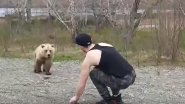 El turista se topó con un oso salvaje por la península de Kamchatka.