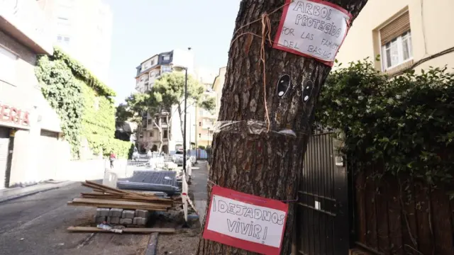 Uno de los árboles de la calle de Bruno Solano con los carteles pegados por los alumnos y las familias del colegio Basilio Paraíso