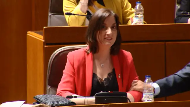 María del Mar Rodrigo Pla (PSOE), vicepresidencia Cortes de Aragón
