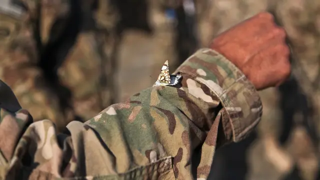 Una mariposa sobre el uniforme de un soldado en Afganistán