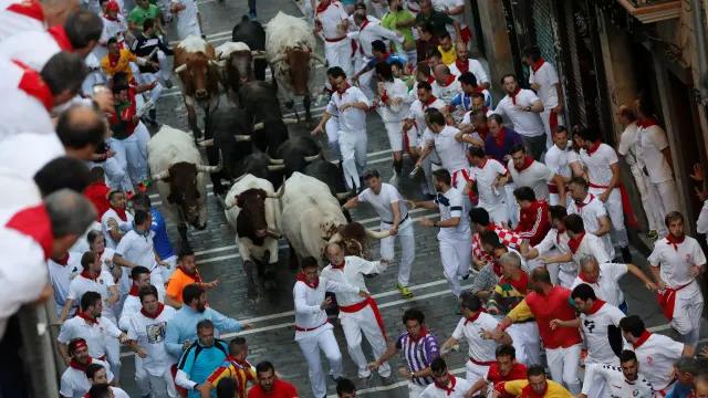 Revellers sprint near bulls and steers during the running of the bulls at the San Fermin festival in Pamplona, Spain, July 10, 2019. REUTERS/Susana Vera [[[REUTERS VOCENTO]]] SPAIN-CULTURE/BULLS