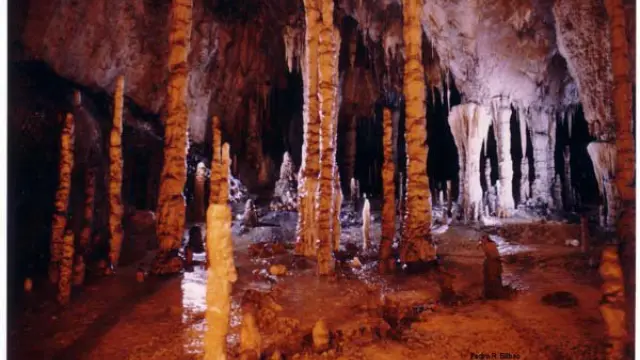 Se han creado dos grupos de exploración en la boca de Coventosa y el otro por la boca de Cueto para buscarlas en el interior de la cueva.