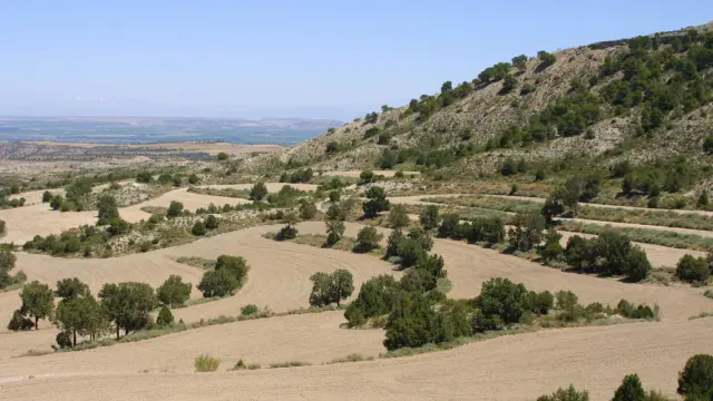 El Aragón rural y despoblado ha sido el gran protagonista.