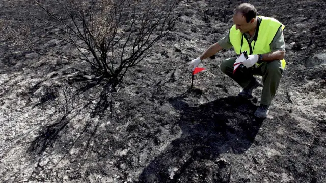 Sergio Ramos también formó parte de la brigada de investigación de incendios forestales del Gobierno de Aragón.
