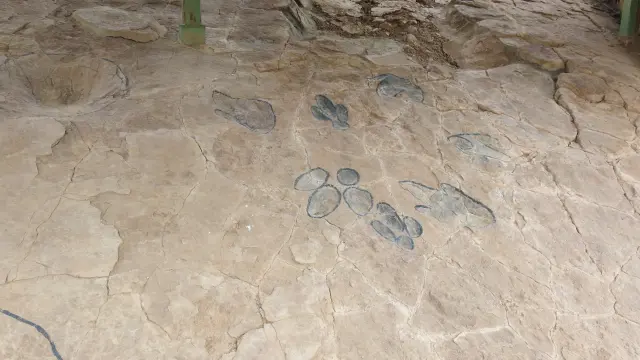 Huellas de dinosaurio remarcadas para su mejor identificación, en el yacimiento de Corrales del Pelejón, en Galve.
