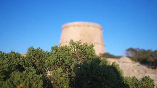 Los hechos ocurrieron en un paraje conocido como Torre d'en Rovira