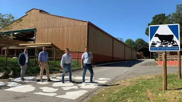 Uno de los pasos de vaca permanentes instalados en cuatro pueblos gallegos.