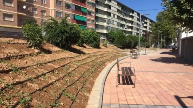 Jardines de la avenida de Ramón y Cajal.