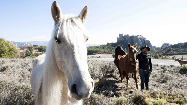Gorka Herrero, de la hípica La Querencia, recorre las inmediaciones del castillo de Loarre con dos de sus caballos