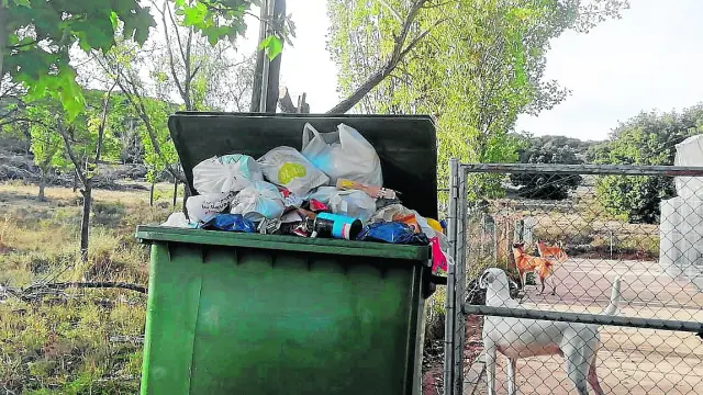 El contenedor del albergue de Utrillas, lleno de bolsas de basura.