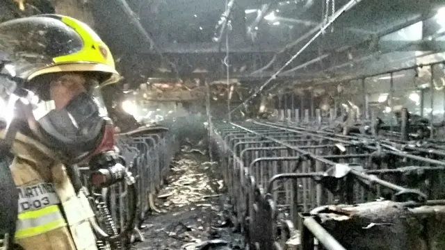 Un incendio destruye parte de una granja de cerdos en Tarazona.