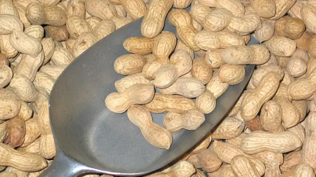 Los cacahuetes pueden producir reacciones alérgicas graves.