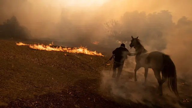 Simi Valley (United States), 30/10/2019.- Ranchers evacuate horses from a burning ranch as the Easy Fire spreads near Simi Valley, North of Los Angeles, California, USA, 30 October 2019. (Incendio, Estados Unidos) EFE/EPA/ETIENNE LAURENT Easy Fire in Simi Valley