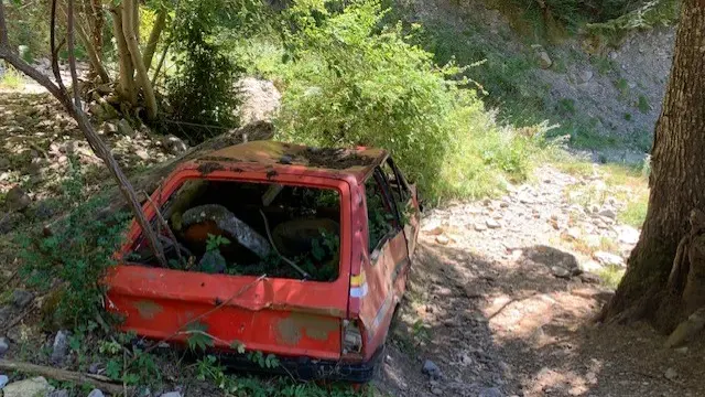 El coche siniestrado ya se confunde con el paisaje e incluso ha nacido un árbol en su interior.