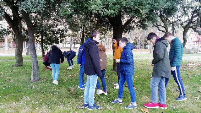 Alumnos y alumnas del IES Ramón y Cajal buscan bellotas en un parque de Huesca.