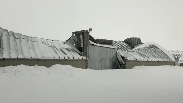 El techo de una nave se ha hundido en Herrera de los Navarros a causa del peso de la nieve.