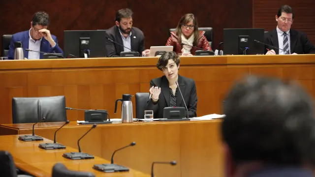 La directora general de Planificación y Equidad, Ana María Montagud, en las Cortes.