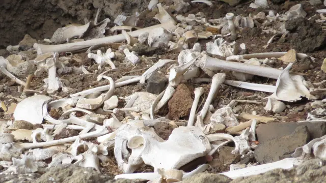 Arqueólogos canarios encuentran una cueva funeraria intacta