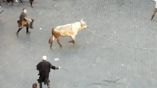 Segundo toro de la tarde en la plaza del Torico.