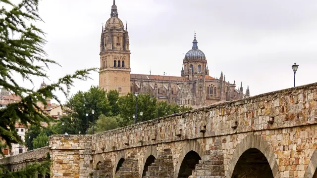Los hechos tuvieron lugar en la ciudad de Salamanca.