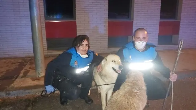Los agentes de la Policía Local de Utebo, junto a los dos perros, después del rescate
