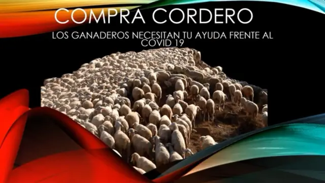 Imagen de la campaña de promoción del ovino de Teruel Existe.
