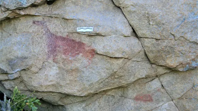 Una de las ciervas de arte rupestre levantino descubiertas en Fanlo