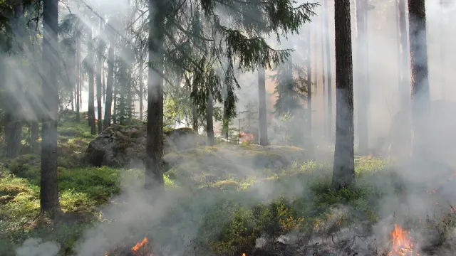 Imagen de archivo de un incendio.
